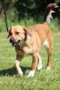 Filename=Schaf_Sigunde(2).JPG
Filesize=177KB
Dimensions=427x640
Date added=Jun 25, 2017 Schaf_Sigunde(2).JPG