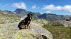 Filename=TRUF_Janosch_Berg.jpg
Filesize=457KB
Dimensions=2048x1152
Date added=Jul 03, 2016 TRUF_Janosch_Berg.jpg