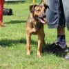 Filename=TRUF_Josef.jpg
Filesize=11KB
Dimensions=178x178
Date added=Jul 03, 2013 TRUF_Josef.jpg