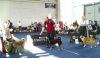 Filename=WDS2012 (1).jpg
Filesize=125KB
Dimensions=800x467
Date added=Jul 01, 2012 WDS2012 (1).jpg