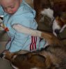 Filename=Zoe u Pinsches (8).JPG
Filesize=424KB
Dimensions=1966x2048
Date added=Nov 20, 2012 Zoe u Pinsches (8).JPG
