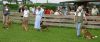 Filename=alfred_alma_rosa_lie_alwis3.jpg
Filesize=46KB
Dimensions=590x250
Date added=Jun 24, 2008 alfred_alma_rosa_lie_alwis3.jpg