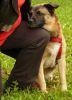 Filename=axel v_ d_ grundsutten.jpg
Filesize=177KB
Dimensions=800x1100
Date added=Oct 14, 2010 axel v_ d_ grundsutten.jpg