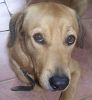 Filename=balu3.jpg
Filesize=38KB
Dimensions=460x497
Date added=Jun 23, 2009 balu3.jpg