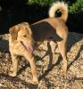 Filename=balu5.jpg
Filesize=129KB
Dimensions=703x753
Date added=Jun 23, 2009 balu5.jpg