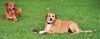 Filename=barny_maxi.jpg
Filesize=53KB
Dimensions=640x251
Date added=Aug 15, 2008 barny_maxi.jpg