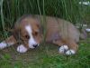 Filename=basti-gh.jpg
Filesize=54KB
Dimensions=550x413
Date added=Jul 27, 2007 basti-gh.jpg