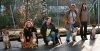 Filename=iha_wels_gruppeSa.jpg
Filesize=72KB
Dimensions=600x309
Date added=Dec 15, 2008 iha_wels_gruppeSa.jpg