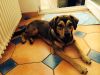Filename=image2.jpeg
Filesize=672KB
Dimensions=1632x1224
Date added=Feb 03, 2015 image2.jpeg