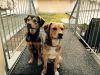 Filename=image4.jpeg
Filesize=316KB
Dimensions=800x600
Date added=Feb 03, 2015 image4.jpeg