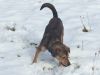 Filename=image6.jpeg
Filesize=116KB
Dimensions=800x600
Date added=Feb 03, 2015 image6.jpeg