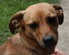 Filename=minerva_kletterrose.jpg
Filesize=56KB
Dimensions=640x508
Date added=Jun 15, 2010 minerva_kletterrose.jpg