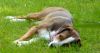 Filename=so_coco_garten_doris.jpg
Filesize=49KB
Dimensions=635x337
Date added=Sep 03, 2009 so_coco_garten_doris.jpg